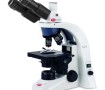 Microscopio